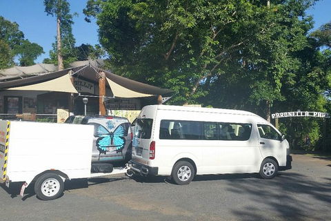 Airport Transfer To Or From Cairns Hotels For Up To 13 People (7am-10pm) - Accommodation Melbourne 3
