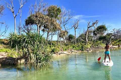 Golden Beach 1-Hour Stand-Up Paddleboard Hire On The Sunshine Coast - Accommodation Melbourne 2