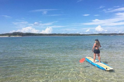 Golden Beach 1-Hour Stand-Up Paddleboard Hire On The Sunshine Coast - Accommodation Melbourne 1