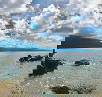Exclusive Double Island Boat Tours from Palm Cove - Accommodation Melbourne