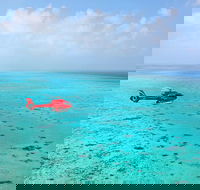 Port Douglas - Cruise and 10 Minute Scenic Flight - Accommodation Melbourne