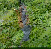 Full-Day Guided Hinterland Adventure Tour in Queensland - Accommodation Melbourne