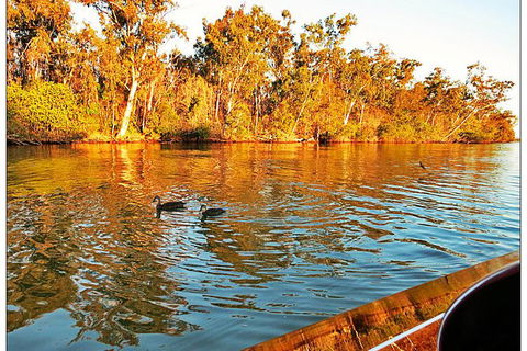 Noosa River Cruise For 2 People On A Classic Mahogany Speed Boat - 90 Min. - Accommodation Melbourne 23