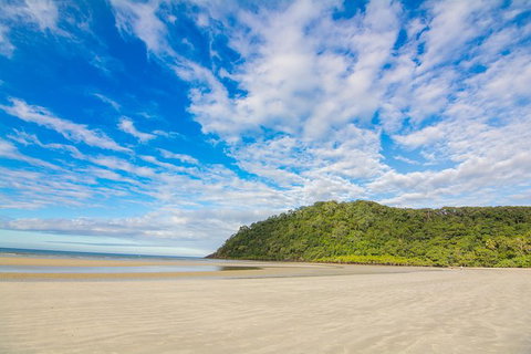Daintree Afternoon Nocturnal Nature And Wildlife Tour - Accommodation Melbourne 8