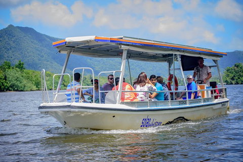 Daintree Afternoon Nocturnal Nature And Wildlife Tour - Accommodation Melbourne 6