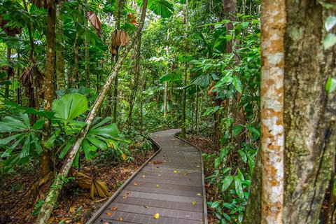 Daintree Afternoon Nocturnal Nature And Wildlife Tour - Accommodation Melbourne 9