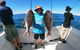 1/2 Day 5 Hour Offshore Fishing Charter - thumb 0