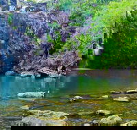 Reef Wildlife  Rainforest - Reef  Beyond Guided Holidays - Accommodation Melbourne