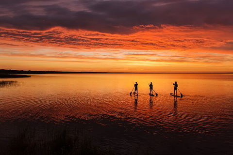 Stand Up Paddle Board Tour - Accommodation Melbourne 7