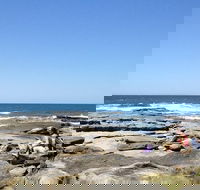 Sunshine Coast Rocky Shore Educational Eco Tour - Accommodation Melbourne