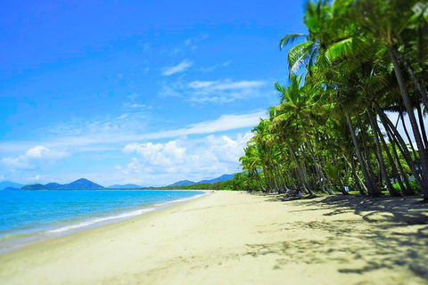 Airport Transfer - Palm Cove, Kewarra Beach & Trinity Beach To Cairns Airport - Accommodation Melbourne 2