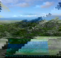 Daintree Luxury Limousine Tour - Full Day - Accommodation Melbourne