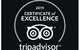 Private Transfer From Brisbane Airport To Noosa For 1 To 4 People - thumb 6