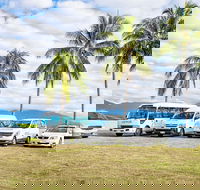 Private Transfers - Cairns Airport to Cairns City - Accommodation Melbourne