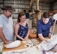 Australian Dinosaur Giants Tour - Accommodation Melbourne