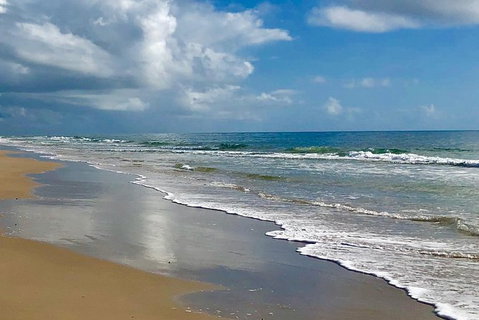 3 Nights 2 Full Days Private Guided Tour Of The Sunshine Coast And Hinterland - Accommodation Melbourne 0