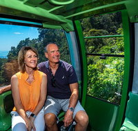 Sightseeing Kuranda Self-Driving Tour - Accommodation Melbourne