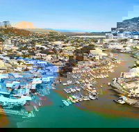Explore Townsville 7 Hour Guided River Mountain and City Tour - Accommodation Melbourne