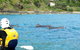 Byron Bay Day Tour - thumb 1