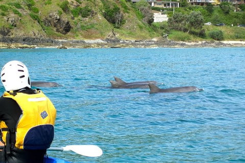 Byron Bay Day Tour - Accommodation Melbourne 1