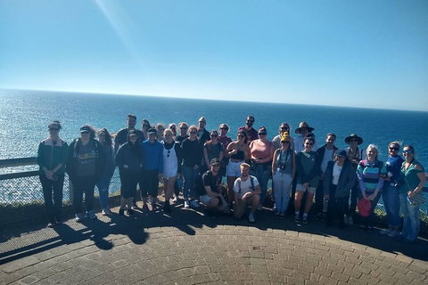 Byron Bay Day Tour - Accommodation Melbourne 3