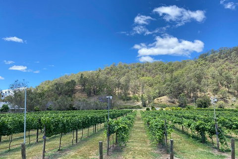 Hinterland Heritage Wine Tour - Accommodation Melbourne 6
