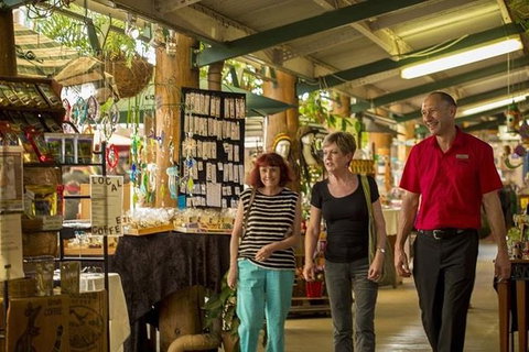 Kuranda Skyrail Rainforest Cableway And Scenic Railway - Accommodation Melbourne 4