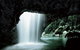 Glowworm Cave & Natural Bridge Tour - thumb 0
