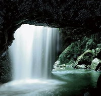 Glowworm Cave  Natural Bridge Tour - Accommodation Melbourne