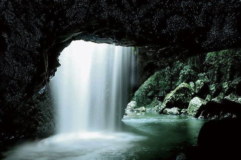 Glowworm Cave & Natural Bridge Tour - Accommodation Melbourne 0