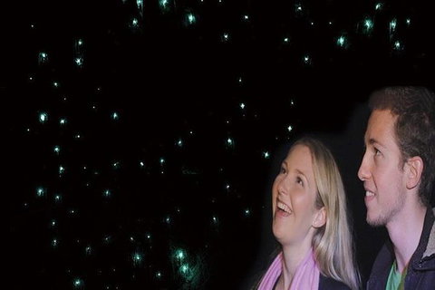 Glowworm Cave & Natural Bridge Tour - Accommodation Melbourne 1