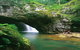 Glowworm Cave & Natural Bridge Tour - thumb 3