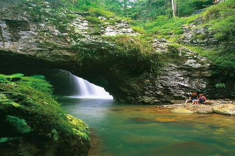 Glowworm Cave & Natural Bridge Tour - Accommodation Melbourne 3