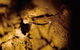 Glowworm Cave & Natural Bridge Tour - thumb 4