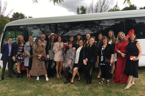 Private 13 Seat Mini Bus CBD To Brisbane Airport Transfer - Accommodation Melbourne 5