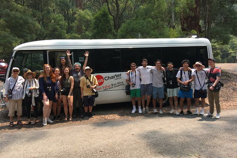 Private 13 Seat Mini Bus CBD To Brisbane Airport Transfer - Accommodation Melbourne 4