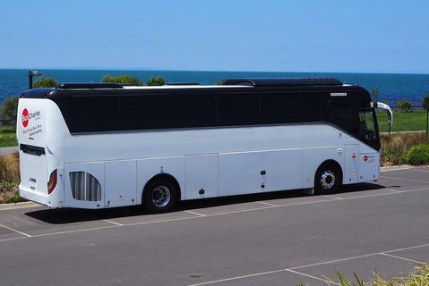 Private 13 Seat Mini Bus Brisbane CBD To Lone Pine Koala Sanctuary Transfer - Accommodation Melbourne 3