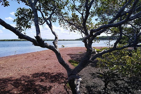 Private Full-Day Guided Tour: Russell Lamb Macleay And Karragarra Islands - Accommodation Melbourne 17