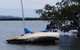 Private Full-Day Guided Tour: Russell Lamb Macleay And Karragarra Islands - thumb 29