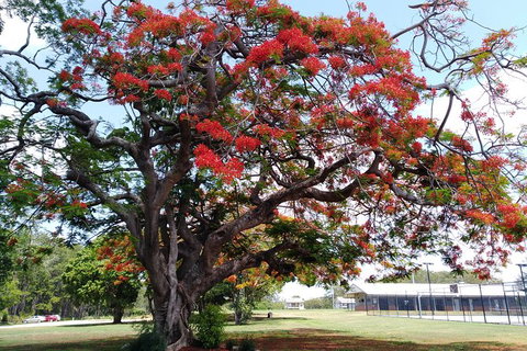 Private Full-Day Guided Tour: Russell Lamb Macleay And Karragarra Islands - Accommodation Melbourne 28