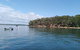 Private Full-Day Guided Tour: Russell Lamb Macleay And Karragarra Islands - thumb 0