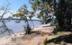 Private Full-Day Guided Tour: Russell Lamb Macleay And Karragarra Islands - thumb 11