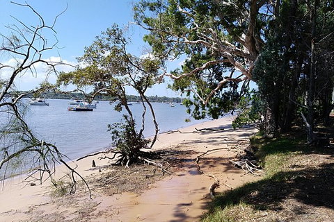 Private Full-Day Guided Tour: Russell Lamb Macleay And Karragarra Islands - Accommodation Melbourne 11