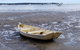 Private Full-Day Guided Tour: Russell Lamb Macleay And Karragarra Islands - thumb 9