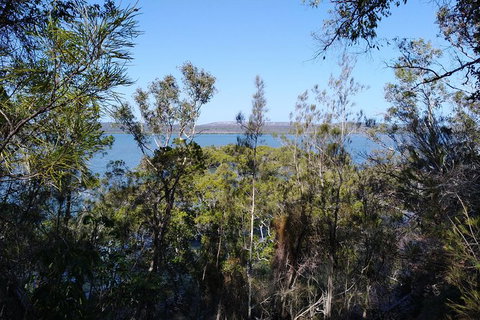 Private Full-Day Guided Tour: Russell Lamb Macleay And Karragarra Islands - Accommodation Melbourne 22