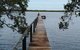 Private Full-Day Guided Tour: Russell Lamb Macleay And Karragarra Islands - thumb 4