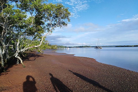 Private Full-Day Guided Tour: Russell Lamb Macleay And Karragarra Islands - Accommodation Melbourne 12
