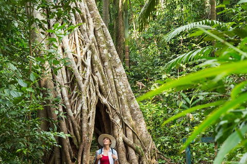 8-Day Outback Experience From Queensland - Accommodation Melbourne 3