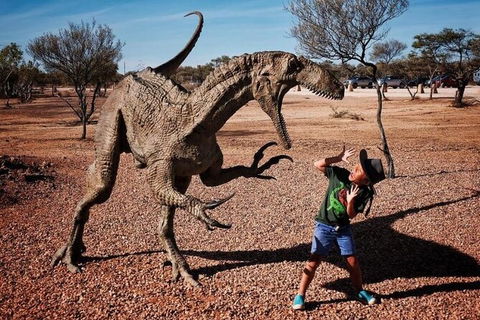 8-Day Outback Experience From Queensland - Accommodation Melbourne 14