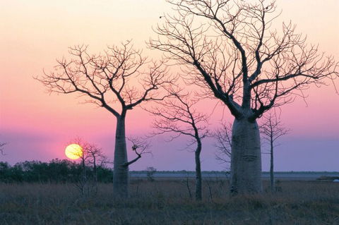 8-Day Outback Experience From Queensland - Accommodation Melbourne 0
